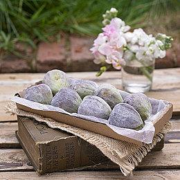 《系统故障》Steam页面上线 第一人称视角恐怖探索